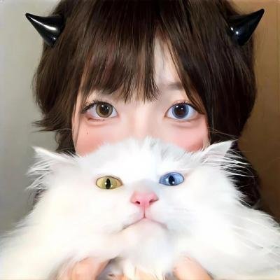 高墙